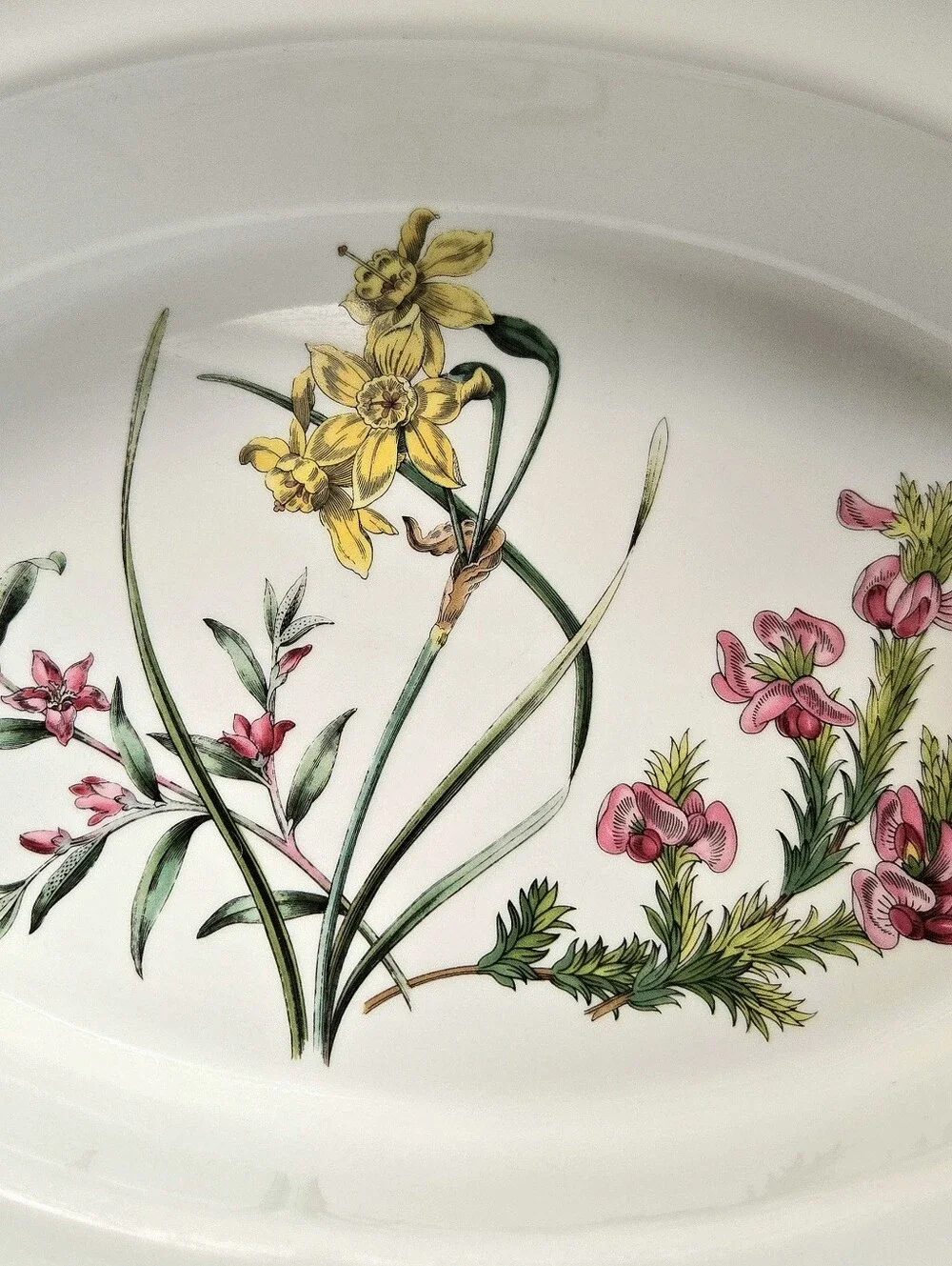 Vintage Spode Stafford Flowers 11.5